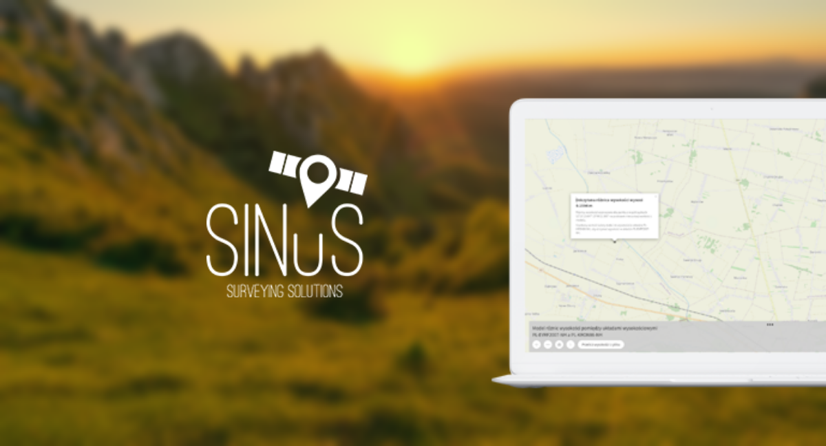 sinus